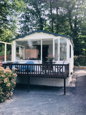 Tiny house 't Heidehoes in Usselo